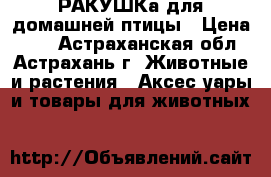 РАКУШКа для домашней птицы › Цена ­ 10 - Астраханская обл., Астрахань г. Животные и растения » Аксесcуары и товары для животных   